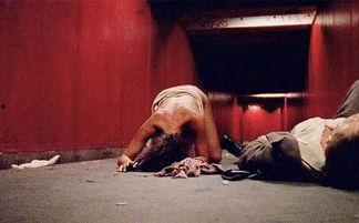 成人十视频在线观看影片,在线观影新体验