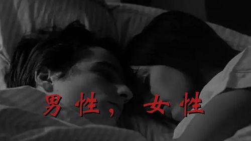 两性成人免费视频在线观看影片,两性成人免费视频盛宴