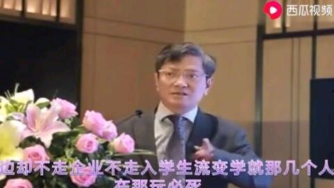 郑强对日韩的评价视频,日韩文化现象深度剖析