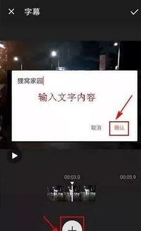 字幕成人手机视频软件,隐私与娱乐的边界